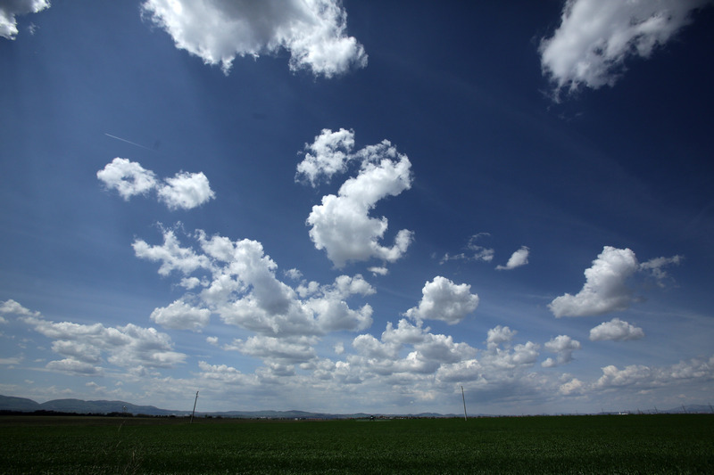 Не е вярно че по силата на Зеления пакт на